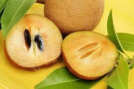 SAPOTA CHIKU (500gm)